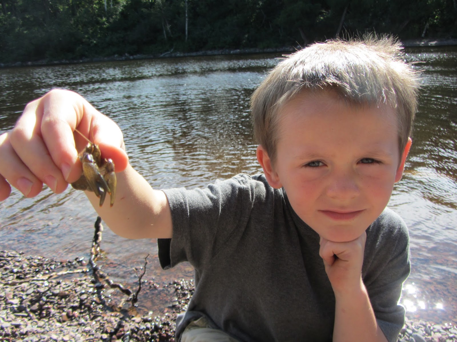 the-unlikely-homeschool-50-summer-nature-study-themes