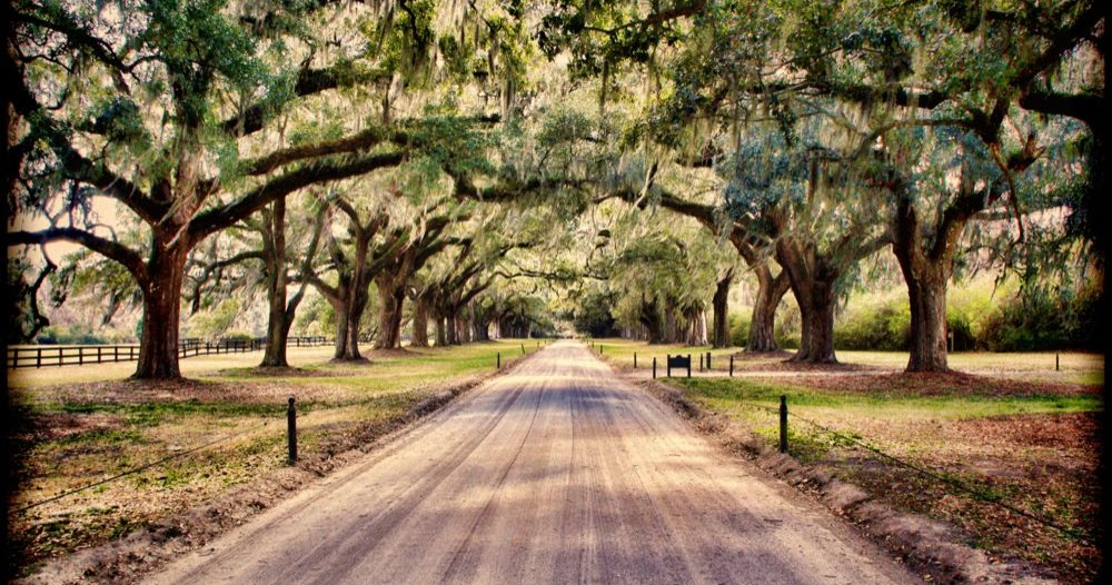 Capture My World : Boone Hall Plantation, Charleston, South Carolina
