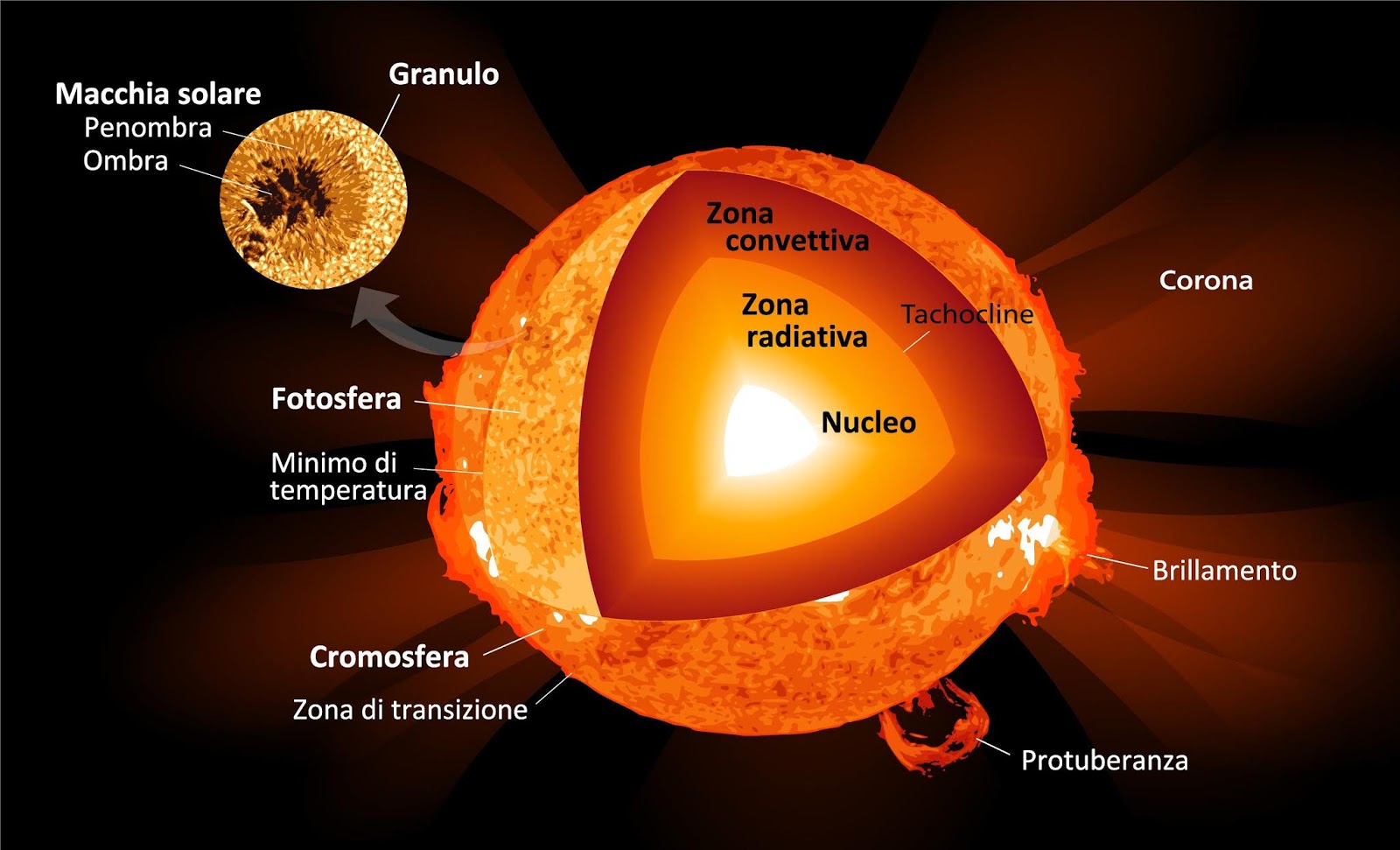 Il Sole è Una Stella Nana
