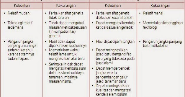 Dhevy Ayu Bioteknologi