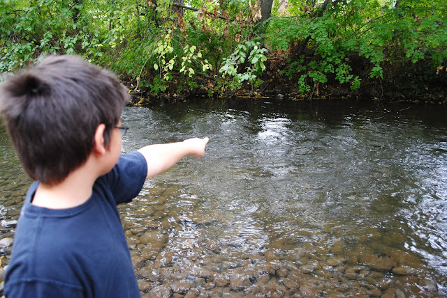 Kids and Creeks at Bear Creek Park - Medford, Oregon - Rogue Valley - Jackson County - Southern Oregon - What to do in Southern Oregon