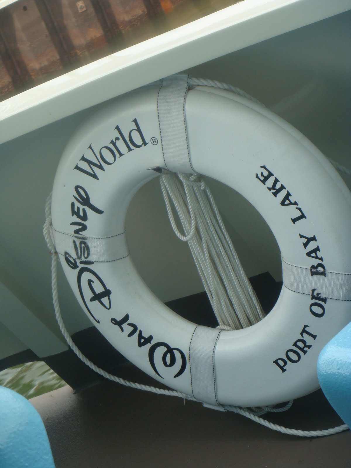 Where Dreams Are Real A Day In Wonderland!