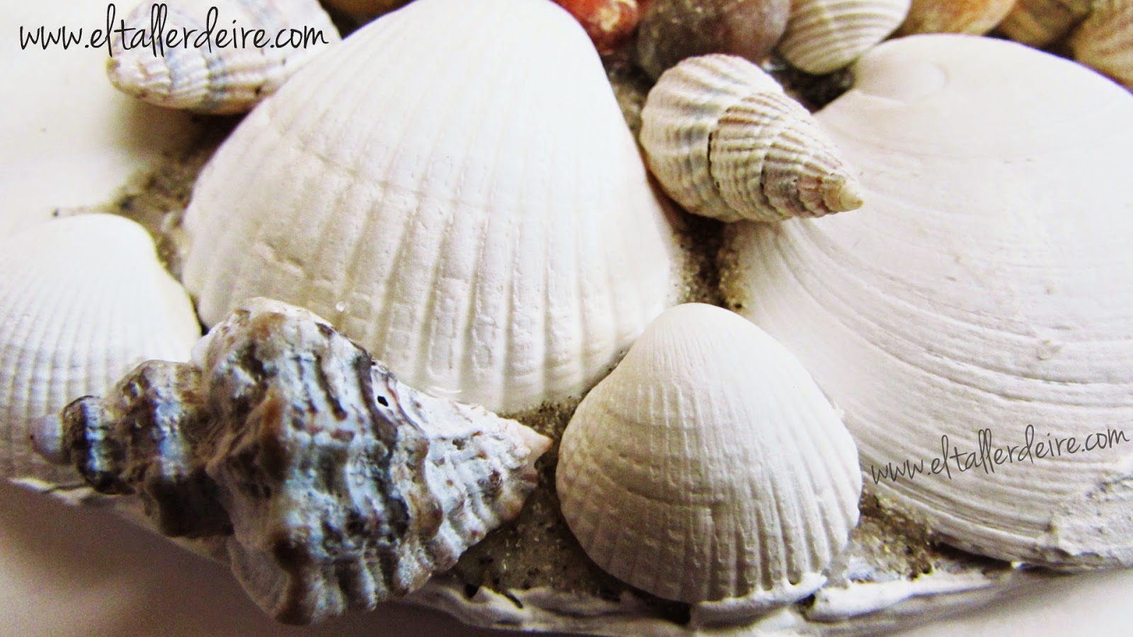 El Taller de Ire: Cómo hacer marcos de espejos con conchas