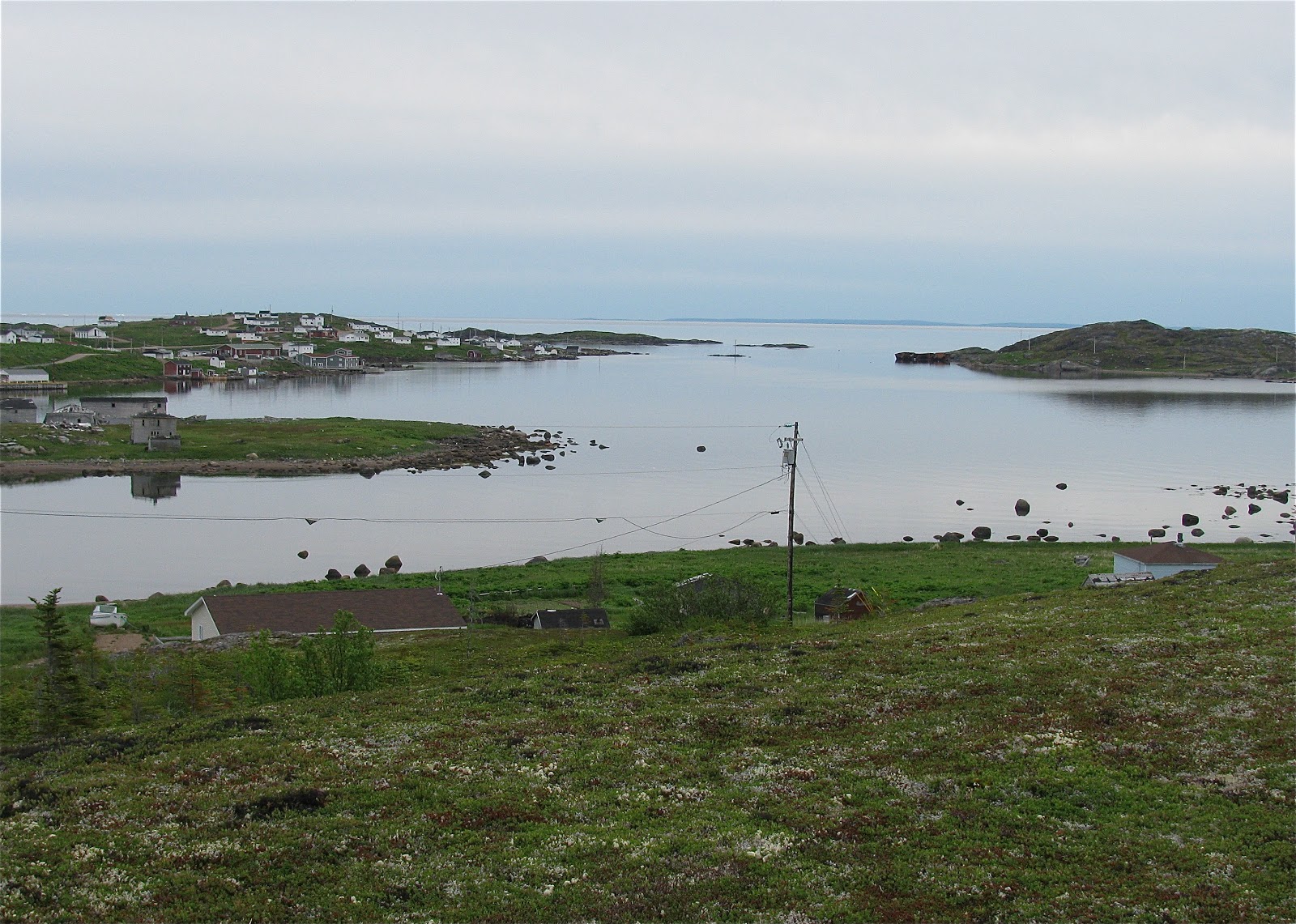 Standing Into Danger: Iceberg Alley Labrador