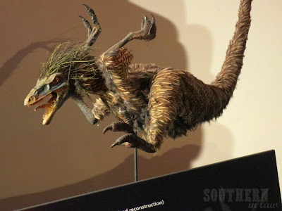 Australian Museum, Sydney - Prehistoric Bird