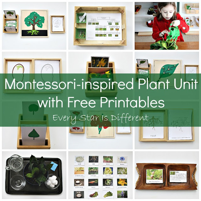 Montessori-inspired plant learning activities and free printables for kids.