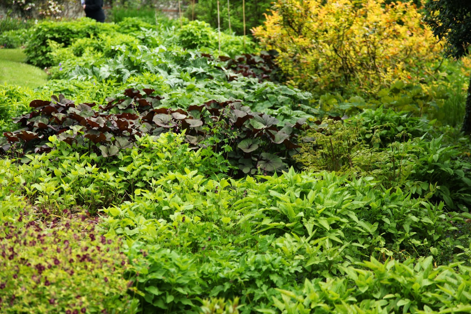 Randomnest: How Does Your Garden Grow?