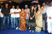 Three Audio Launch Gallery [Andhrula Music]