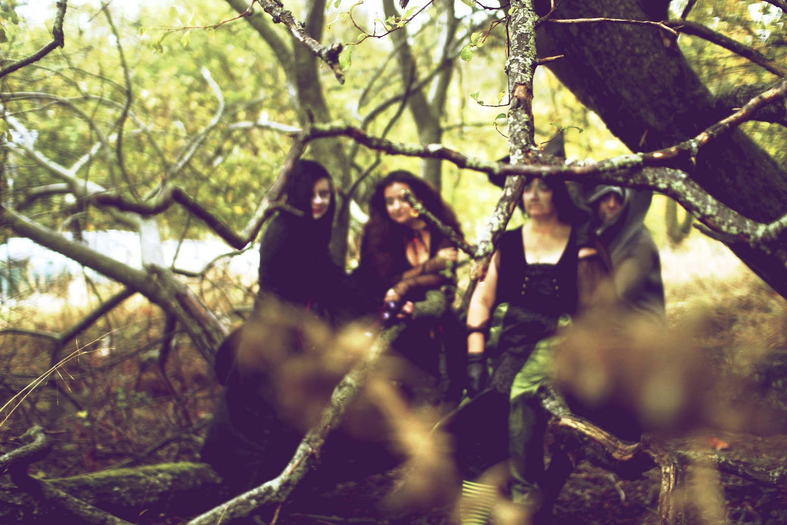 Witches in the Woods by Lisarey Photography Witches in the Woods by Lisarey Photography