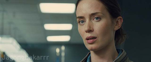 sinopsis film sicario action sinopsis film sicario action
