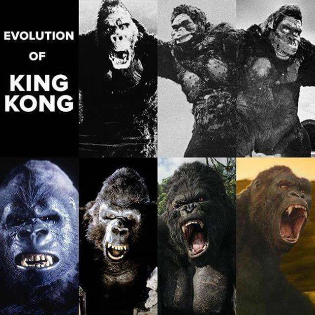 Рост кинг конга. Кинг Конг Эволюция 1933-2017. Эволюция Кинг Конга 1933 2021. Кинг Конг Эволюция.
