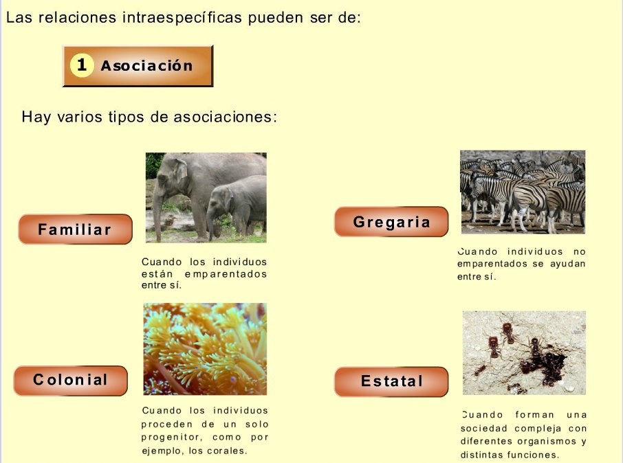 BIOLOGÍA Y GEOLOGÍA 1ESO EXXI IES MAR. BAQUERO EXXI. BYG1ESO. UD11 Los ecosistemas.