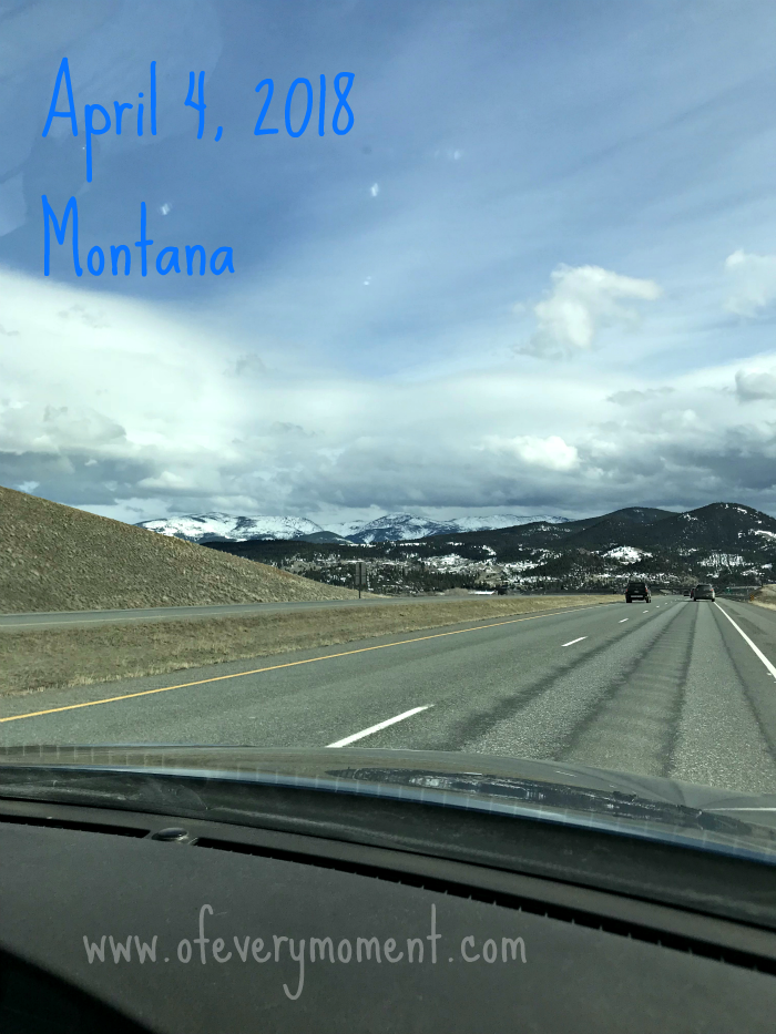 Spring in Montana