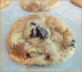 PB Cup and Oreo Cookies: Two favorite treats meet up in one cookie. Crispy, crunchy and not too sweet. Recipe by BakingInATornado.com | #bake #cookies