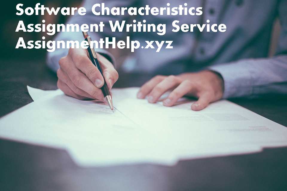 Management Software Assignment Writing Service