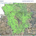 Αλ. Καχριμάνης: Άλυτα τα προβλήματα στην Ήπειρο με τους δασικούς χάρτες 
