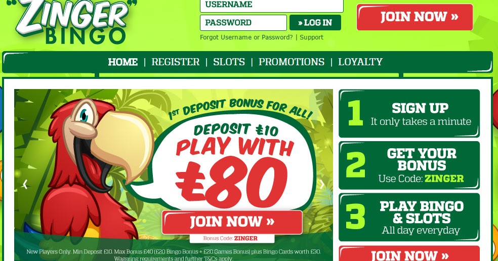 Top Bingo Games The Bingo System Online Bingo Bonuses