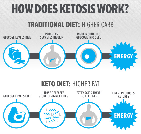 Image result for What is Keto 2.0 Diet Plan? infographics