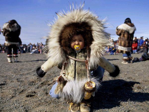 Chi viaggia impara: Immagini dal mondo: Artide