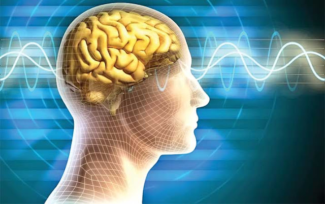 Fakta Mengerikan Parasit yang Mudah Hidup dan Menjangkit Otak Manusia Sangat Merugikan Fakta Mengerikan Parasit yang Mudah Hidup dan Menjangkit Otak Manusia Sangat Merugikan