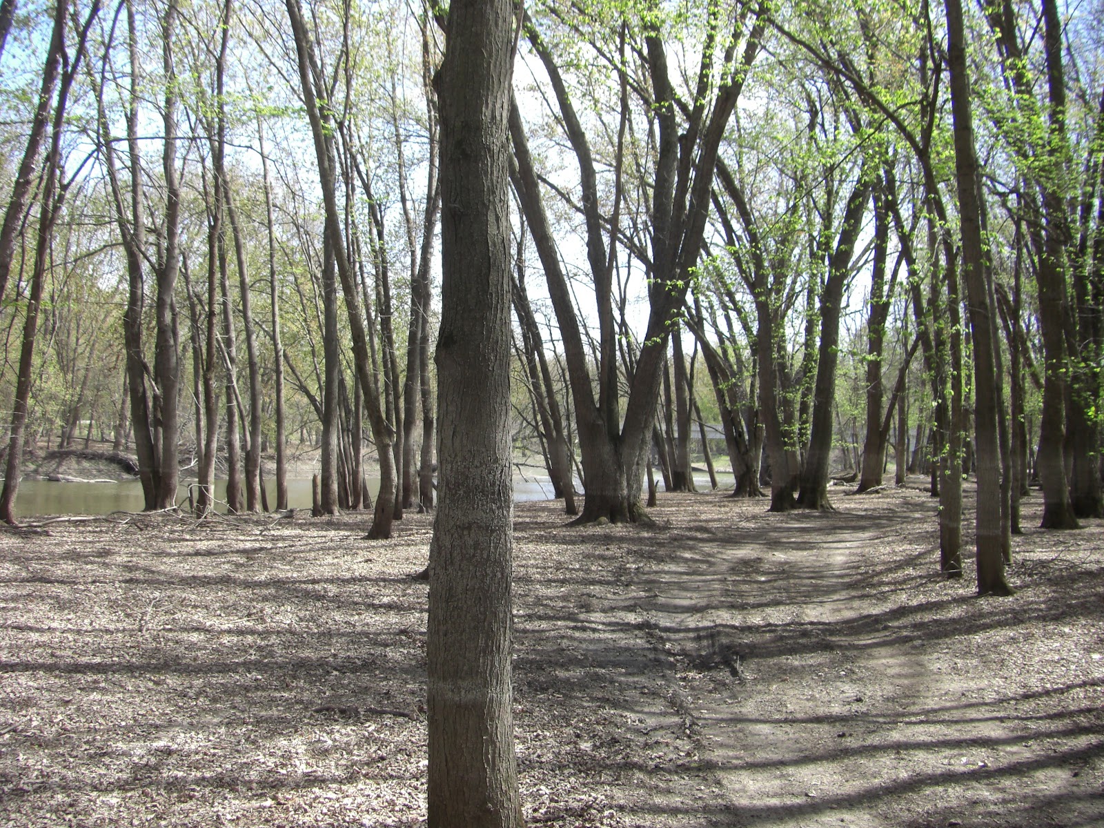 MN Bike Trail Navigator Riding the Ravenna Trail Back in Time