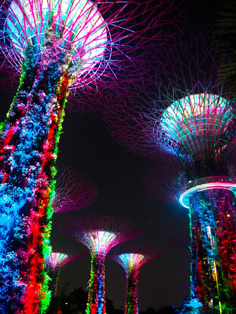 Supertree Grove light show, Gardens by the Bay, Singapore