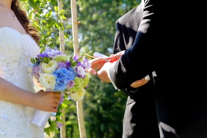 Purple and Blue Massachusetts Wedding: Adriana & Steve