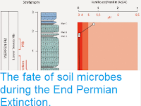http://sciencythoughts.blogspot.co.uk/2015/01/the-fate-of-soil-microbes-during-end.html