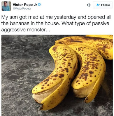funny tweets, son got made opened all bananas, open all the bananas, petty revenge, funny kids, kid humor, victor pope jr