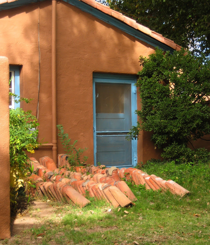 Living Rootless La Luz A Fading Light