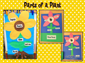Mrs. Ricca's Kindergarten: Growing a Kinder-Garden: Plants Unit {Freebies!}