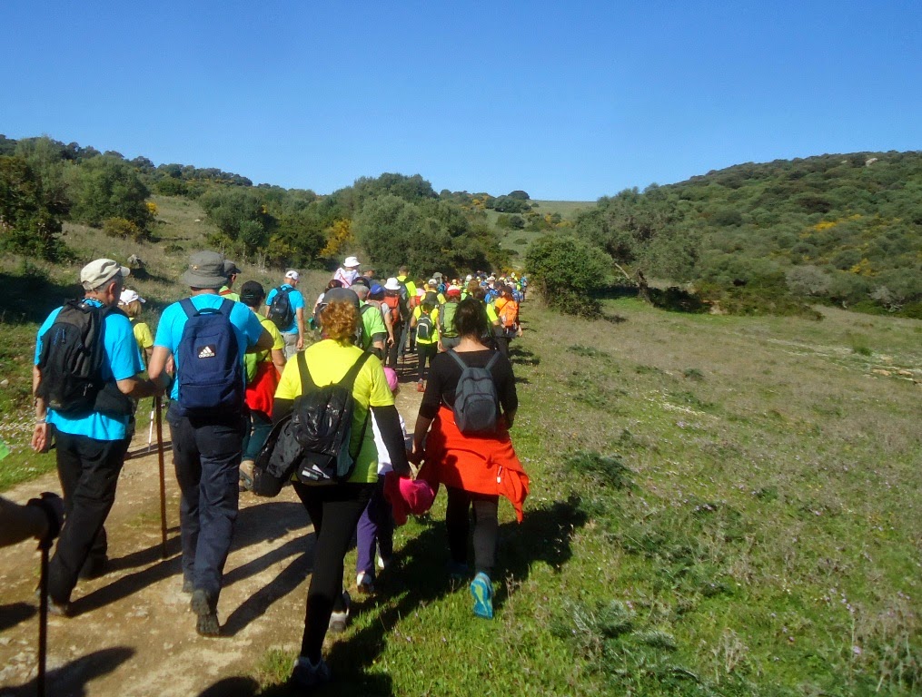 Senderismo Carlos y Petra: SENDERO FINCA LA ALCAIDESA PINAR DEL REY