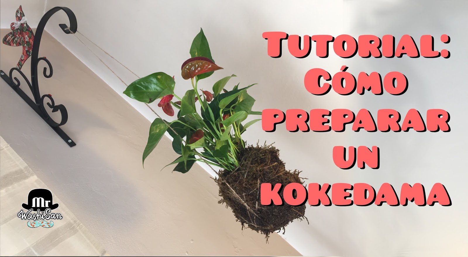 Cómo hacer un kokedama: 14 Pasos (con imágenes)
