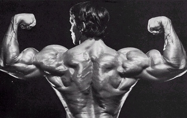 44 15 Minute Arnold schwarzenegger workout pics 