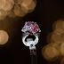 Diamante rosa é vendido por 44 milhões de euros em leilão em Genebra.