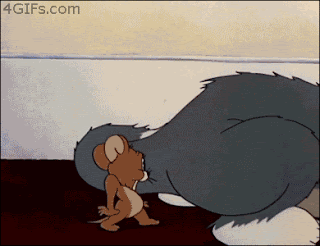 gato.gif
