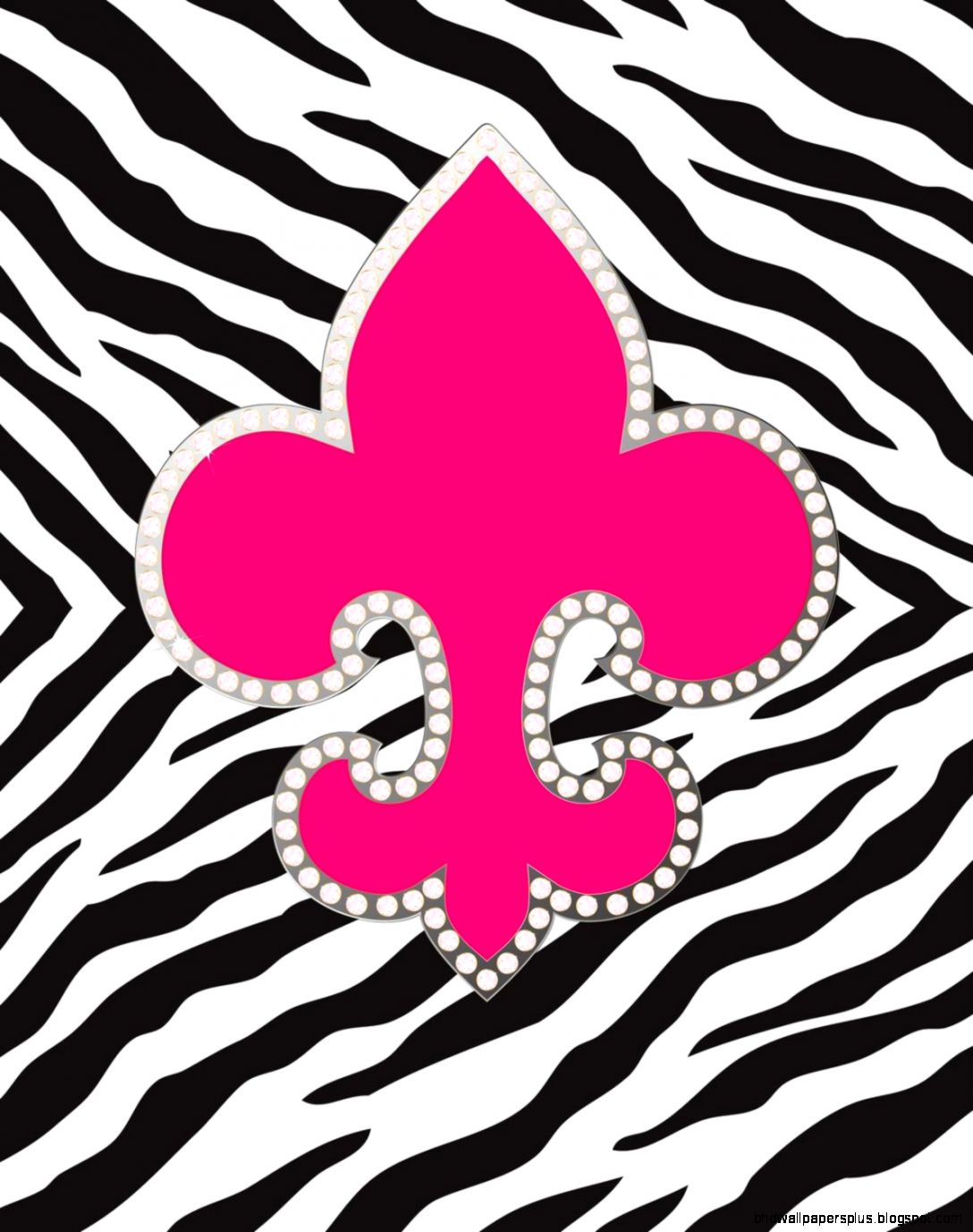 Zebra Print Wallpaper 6841248