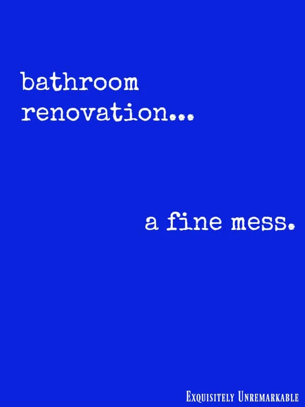 Bathroom Renovation A Fine Mess