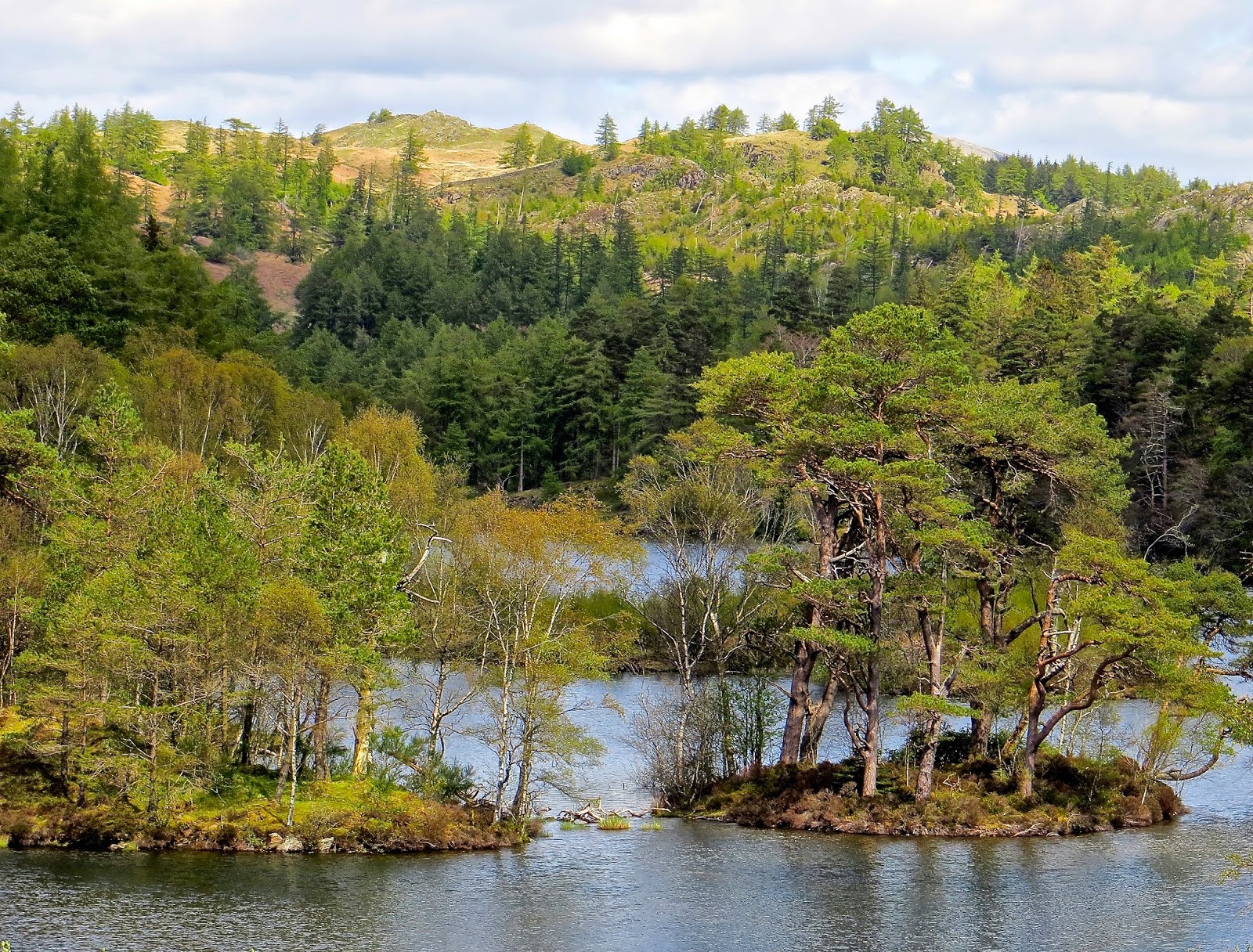 Curiouser and Curiouser Fifty Shades of Green The Lake District in Spring