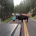 Ebrio a prisión por hostigar a un bisonte que obstruía el tráfico