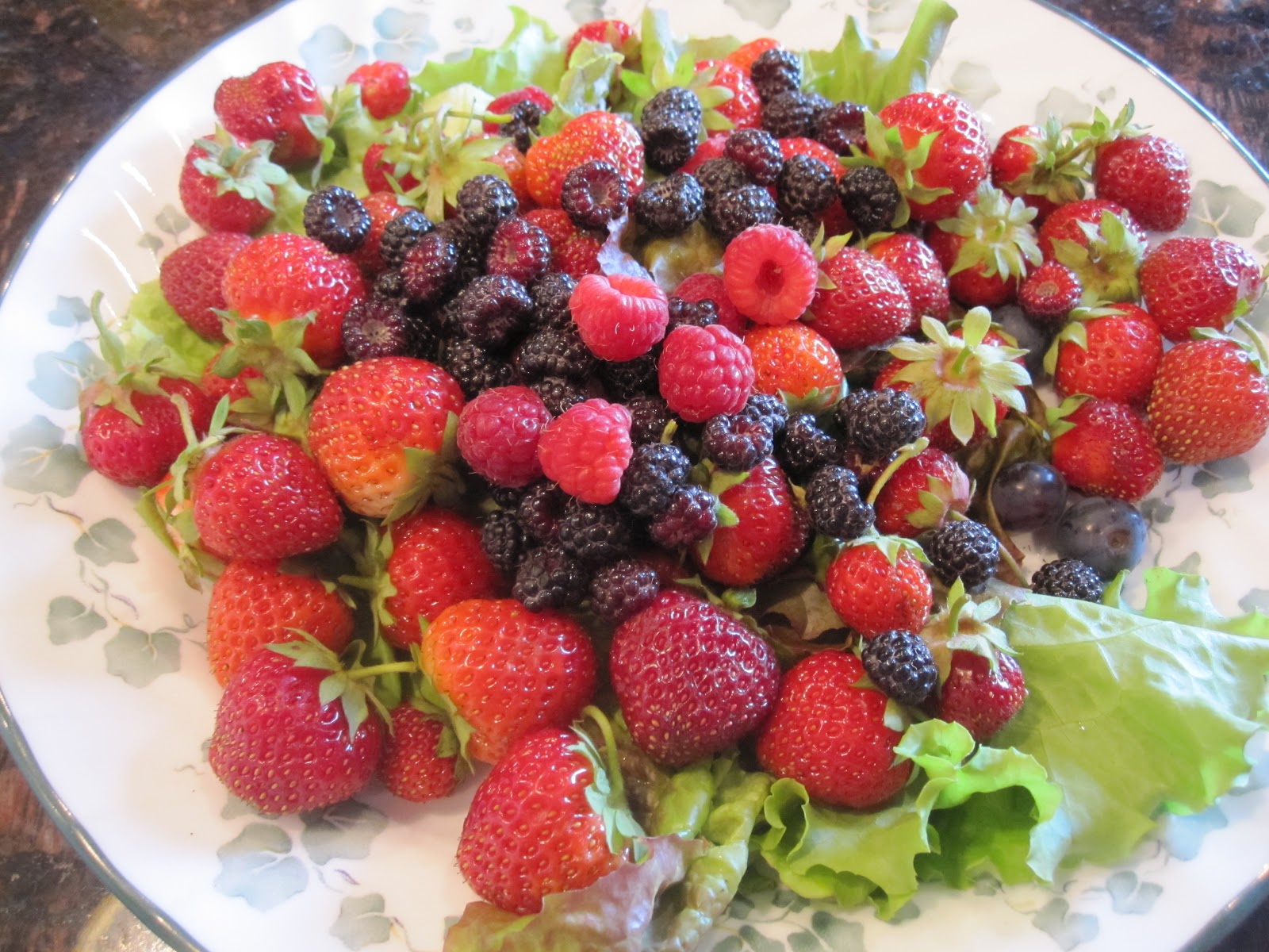 How many berries can you get from a small garden?