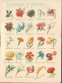Flowers Of The World Common Flower Names May Vary According The Common Flower Names May Vary