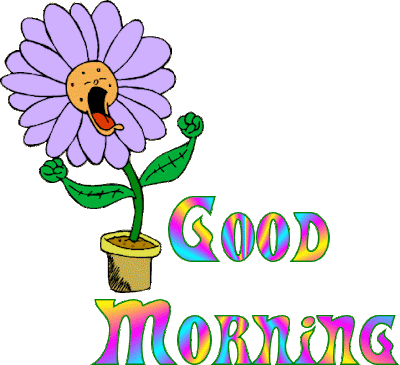 good morning good morning