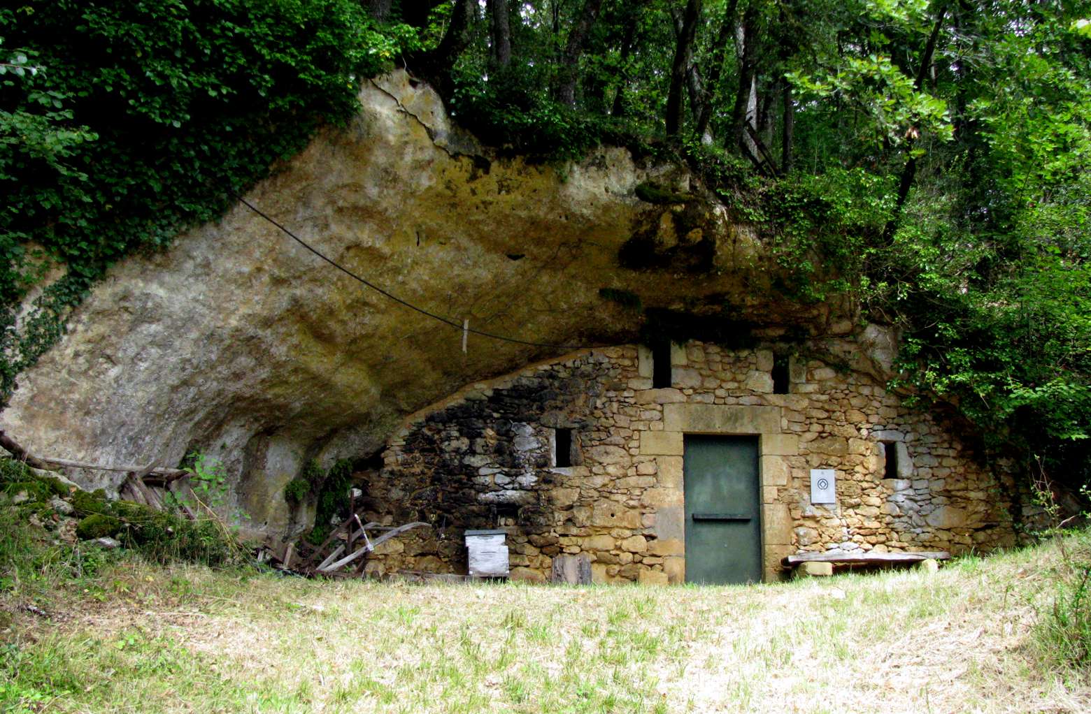 Las Cuevas del Mundo Cueva de la Mouthe