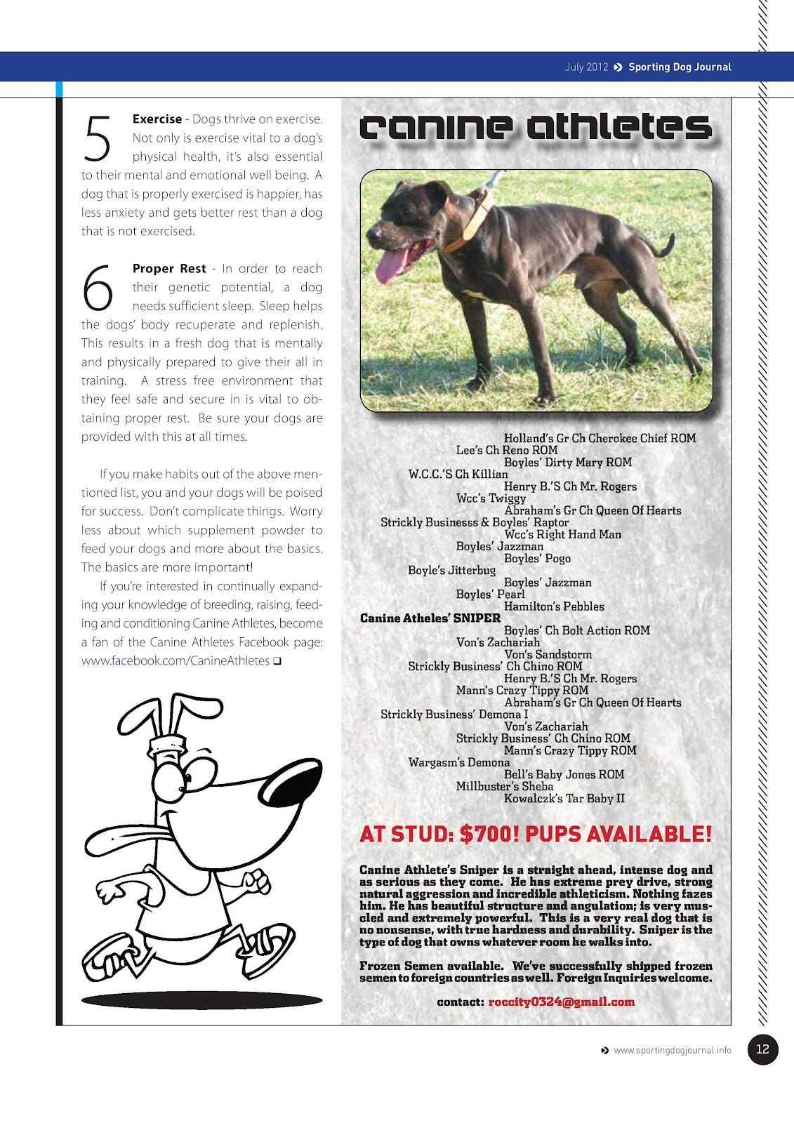 Game Dog World SPORTING DOG JOURNAL JULY/2012