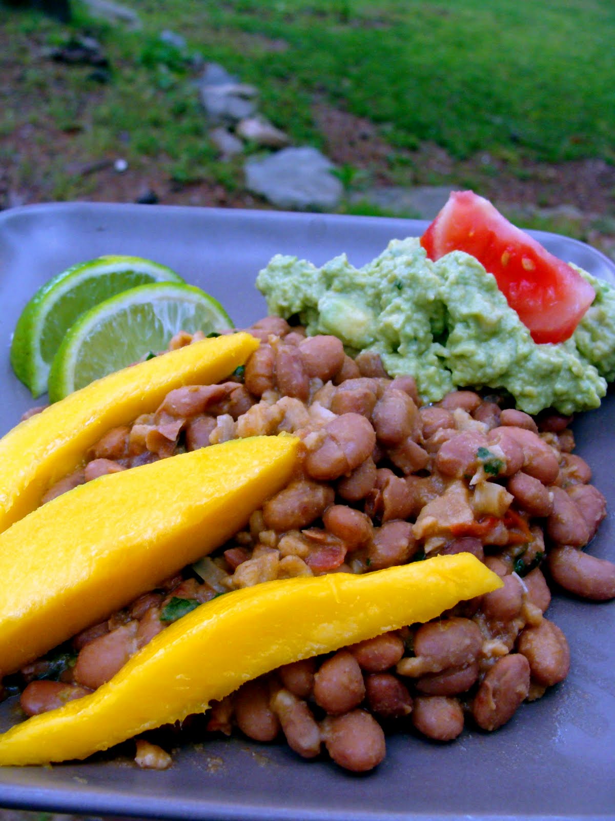 The Maine Vegan: Mexican Pinto Beans