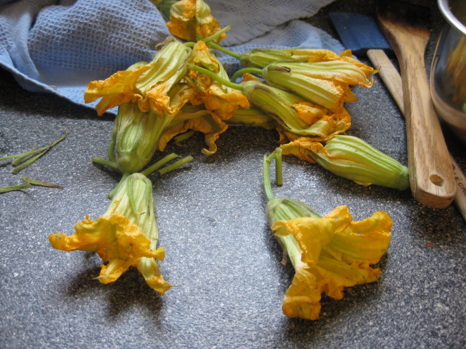 Food Lust People Love Zucchini Flowers stuffed with Fresh Goat Cheese