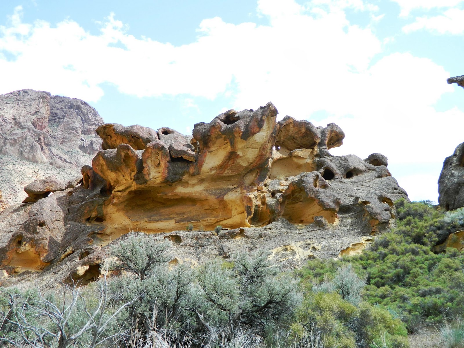 Living in Idaho Timber Gulch at Leslie Gulch Area