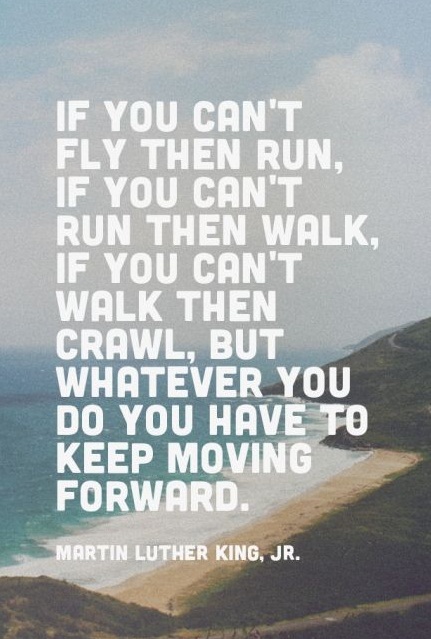 If you can't fly then run, if you can't run then walk, if you can't walk then crawl, but whatever you do you have to keep moving forward. - Martin Luther King, Jr.