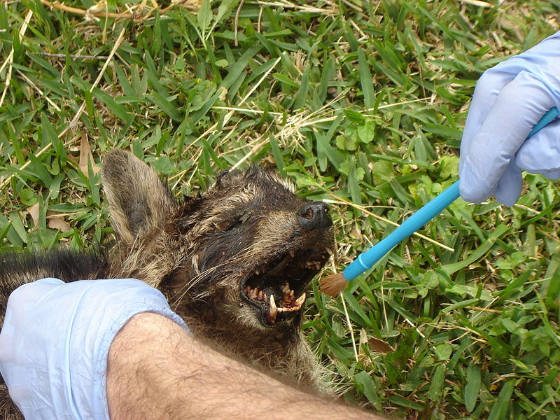 what is the salary of a forensic scientist what is the salary of a forensic scientist
